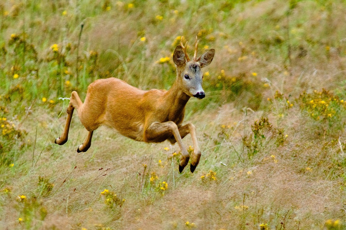Plitvice Lakes National Park, The Wonder of the Balkans