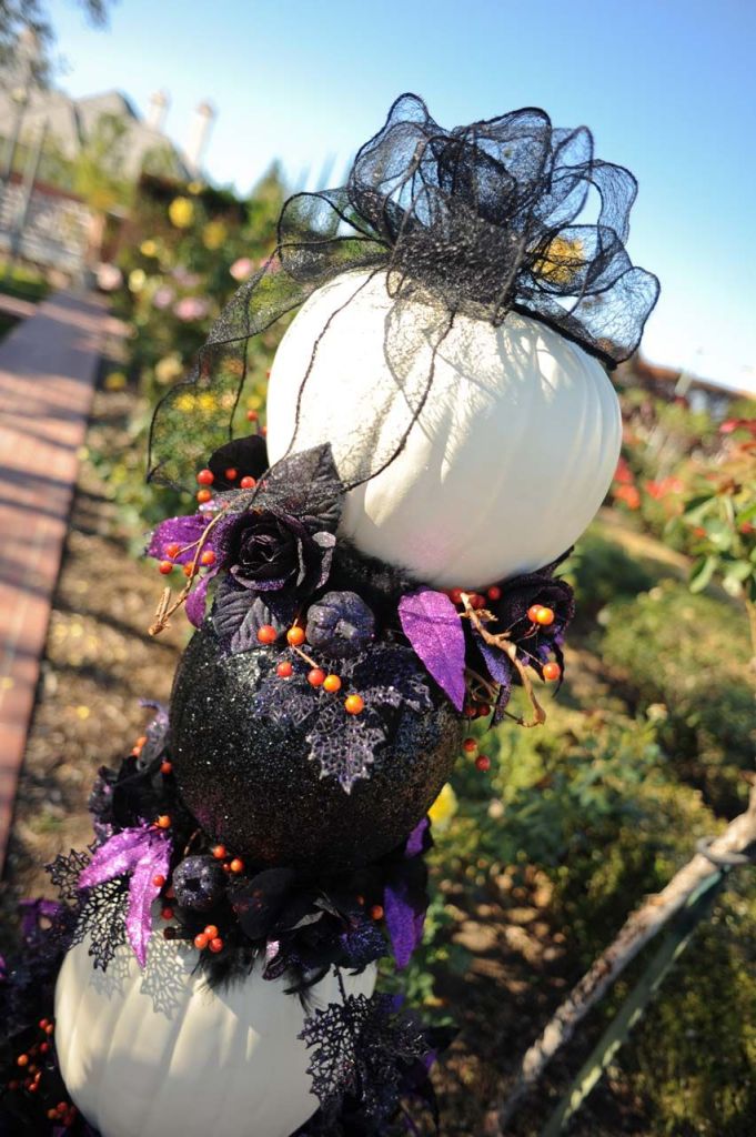 Pumpkins for Halloween Wedding