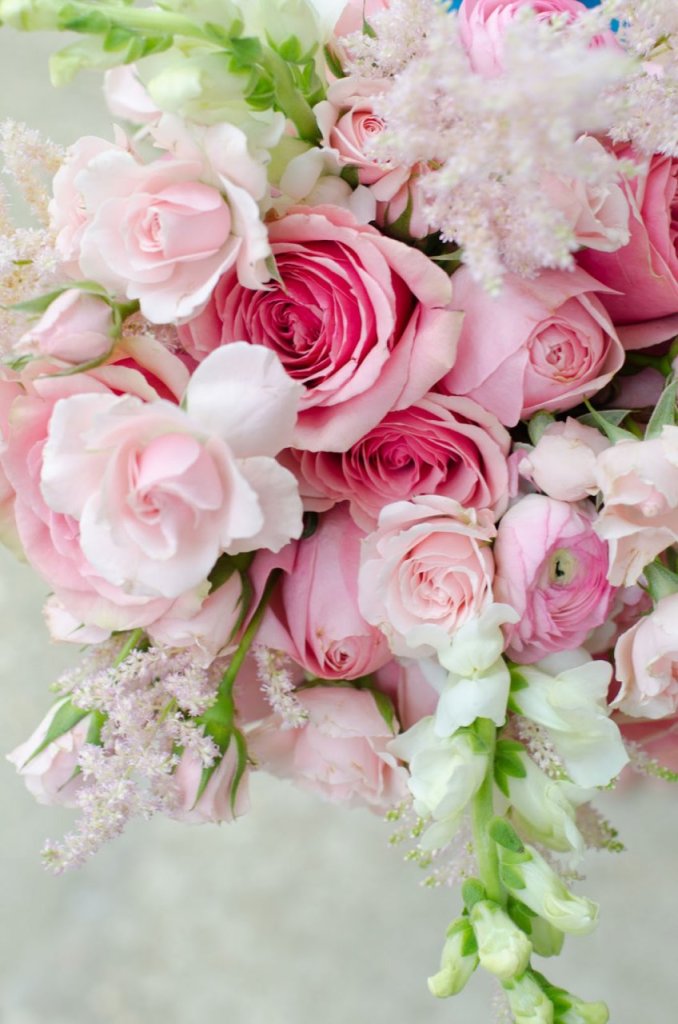 Pink roses bouquet