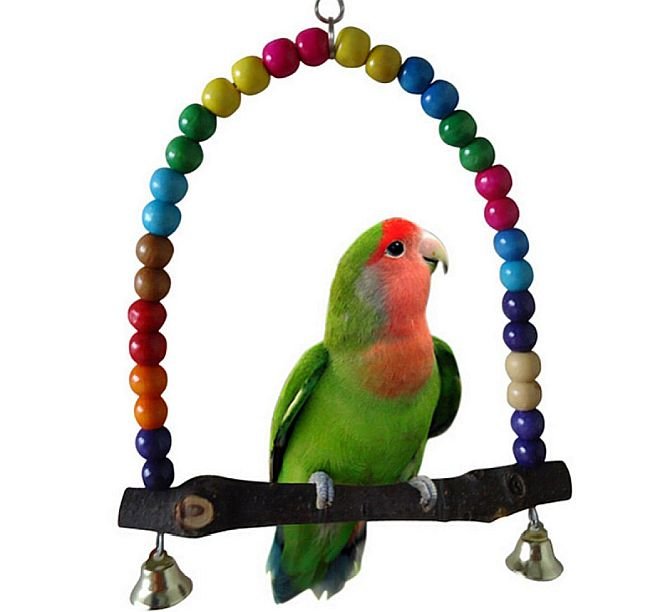 Yosoo's swing is probably the best swing toy for budgies we've seen.