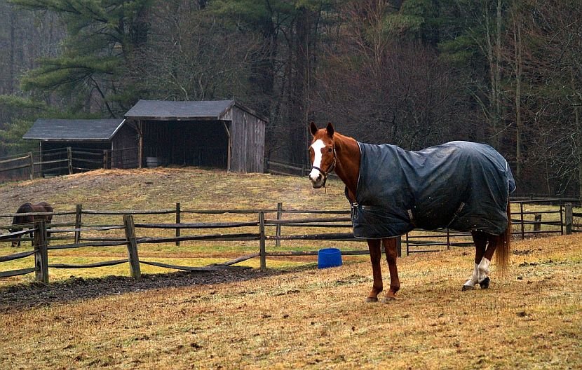 Here’s what I’d call the best horse blankets