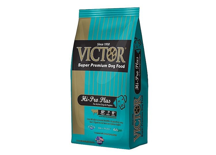 Victor vs Diamond dog food and why I think the Victor Hi Pro Plus is the best.