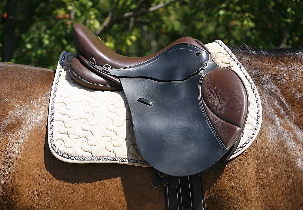 Saddle Pad 101: Best picks, materials &amp; shapes