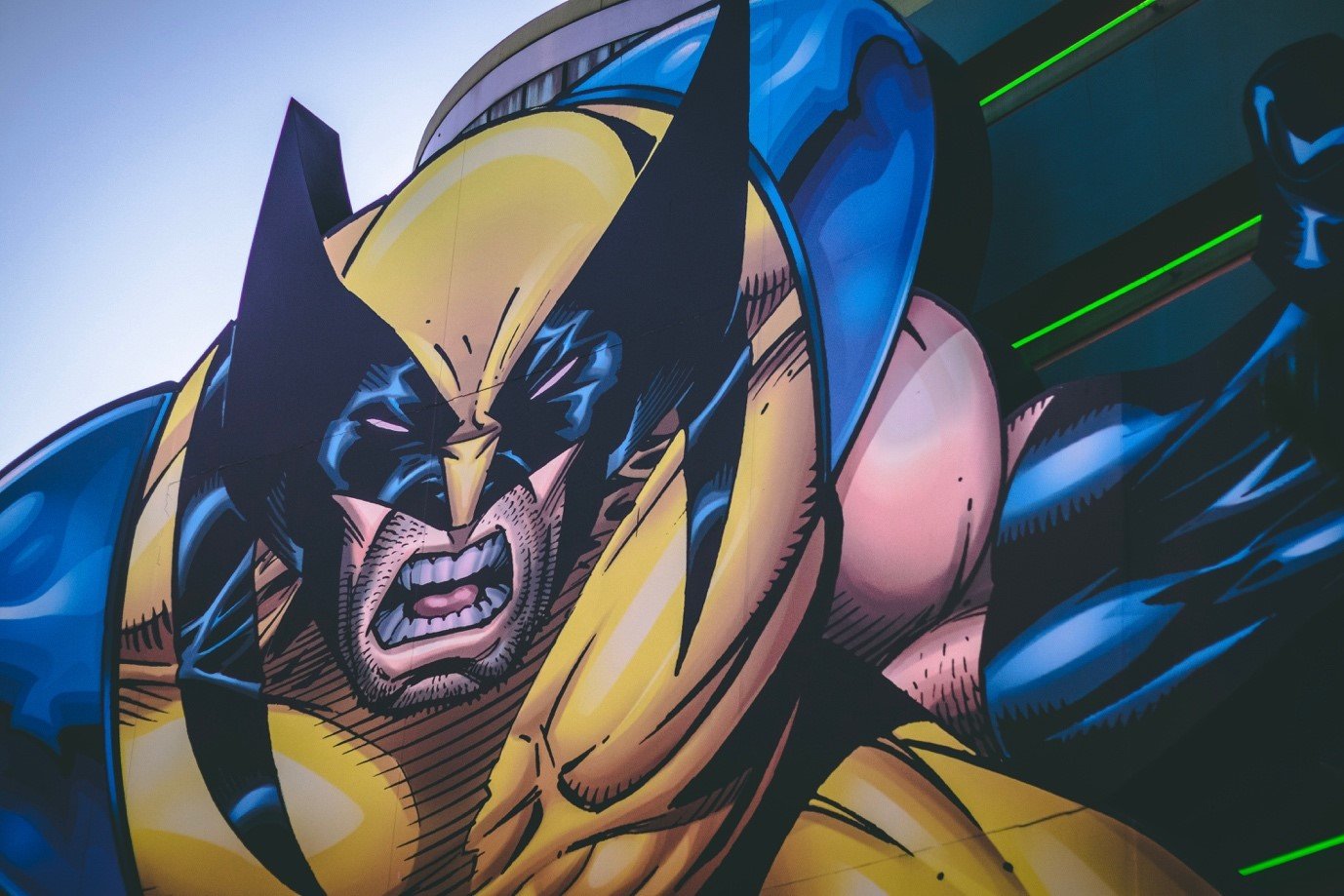 picture of wolverine 