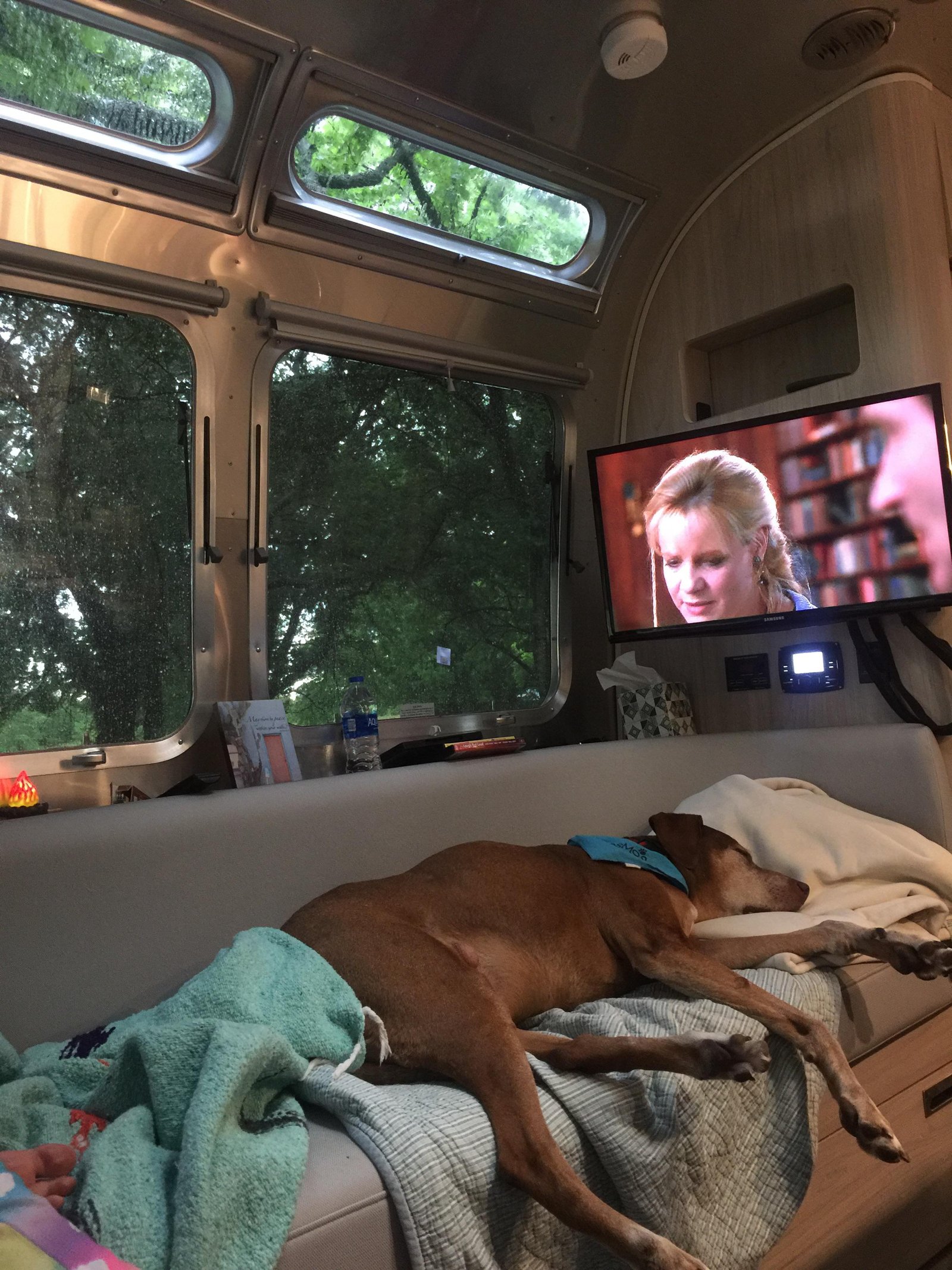This dog sleeping on the couch, in an RV, on a rainy day