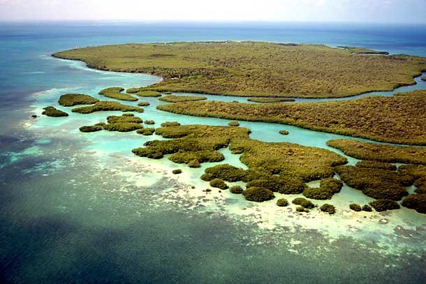 Belize Barrier Reef